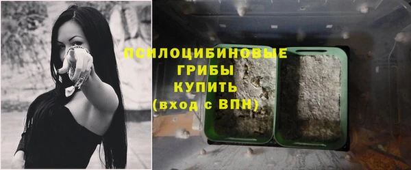 гидропоника Няндома