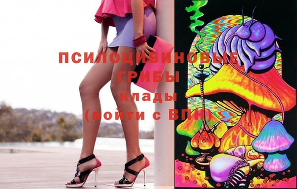 гашик Нязепетровск