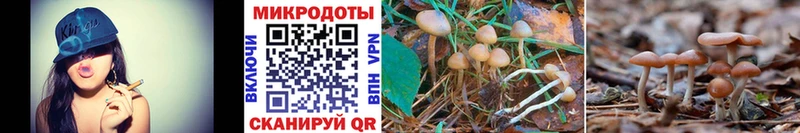 Псилоцибиновые грибы GOLDEN TEACHER  Димитровград 