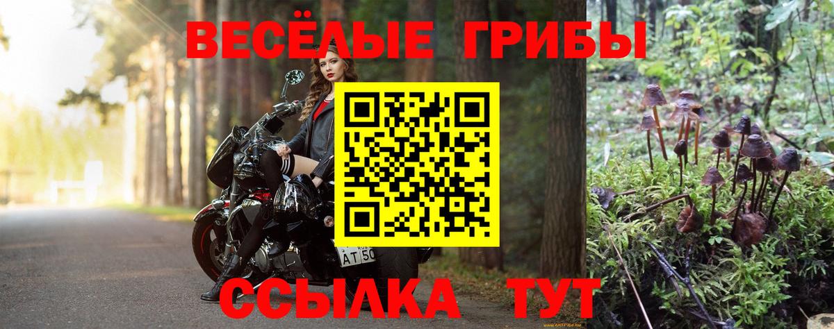 Димитровград  Галлюциногенные грибы MAGIC MUSHROOMS  Вход с VPN  Псилоцибиновые грибы прущие грибы 