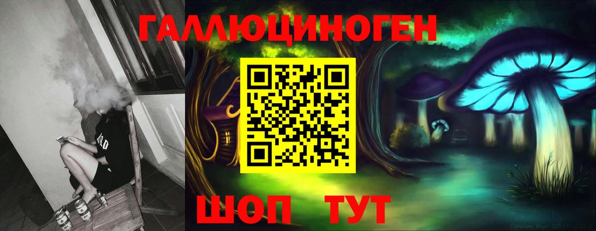 Галлюциногенные грибы мицелий  даркнет сайт  Псилоцибиновые грибы Psilocybine cubensis  Димитровград 